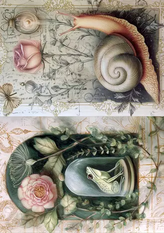 Fripperies Curiosities A5 Creative Paper Set (CUR)