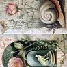 Fripperies Curiosities A5 Creative Paper Set (CUR)