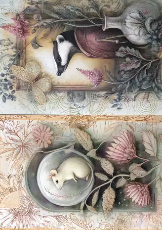 Fripperies Curiosities A5 Creative Paper Set (CUR)