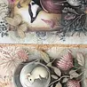 Fripperies Curiosities A5 Creative Paper Set (CUR)