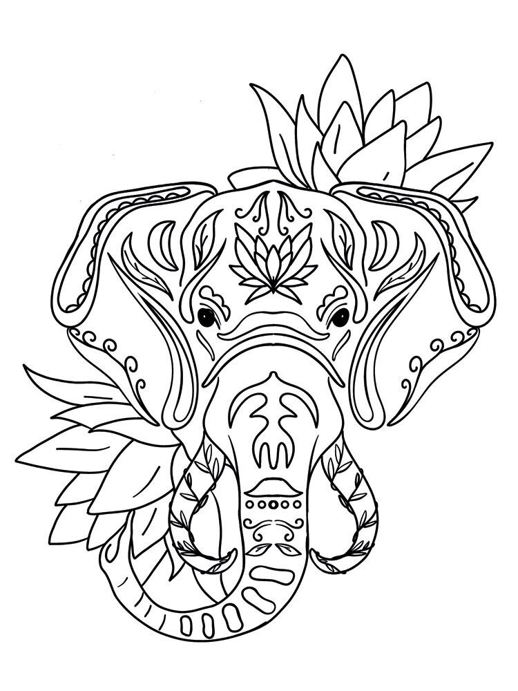 Crafter's Companion Card Front Colouring Pads Spiritually Wild (CC-COLPAD5-SPWI)