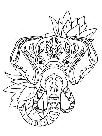 Crafter's Companion Card Front Colouring Pads Spiritually Wild (CC-COLPAD5-SPWI)