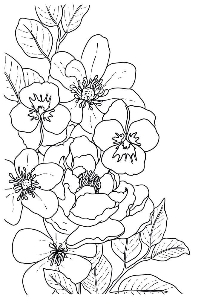 Crafter's Companion Card Front Colouring Pads Butterflies And Botanics (CC-COLPAD5-BUBO)
