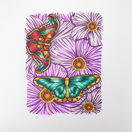 Crafter's Companion Card Front Colouring Pads Butterflies And Botanics (CC-COLPAD5-BUBO)