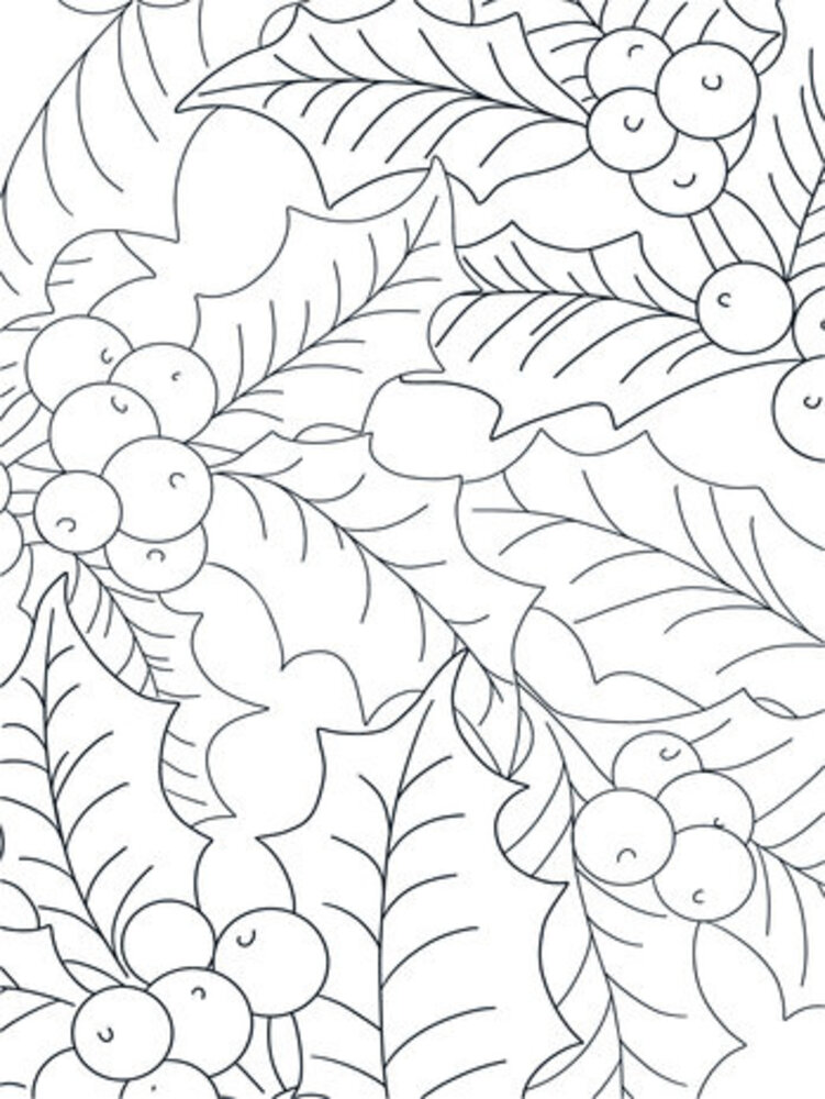 Crafter's Companion Card Front Colouring Pads Natures Christmas (CC-COLPAD-NACH)