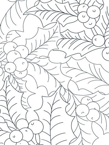 Crafter's Companion Card Front Colouring Pads Natures Christmas (CC-COLPAD-NACH)