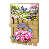Katy Sue Kraft Picket Fence Cards & Envelopes (05-10030KPF)