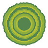 Spellbinders PRE-ORDER Summertime Decorative Ripped Edge Circles Dies (S4-1511)