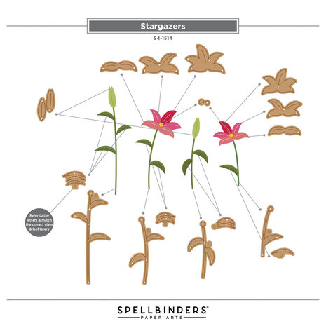 Spellbinders PRE-ORDER Summertime Stargazers Dies (S4-1514)