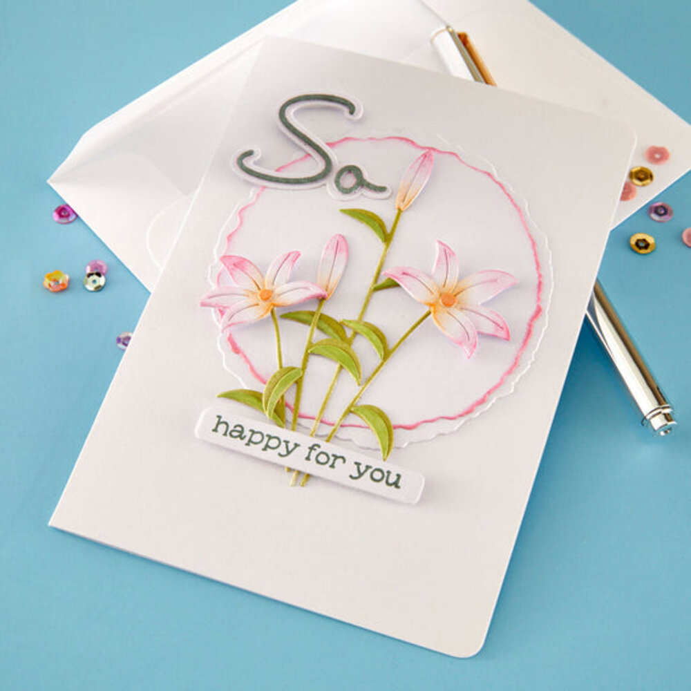 Spellbinders PRE-ORDER Summertime Stargazers Dies (S4-1514)