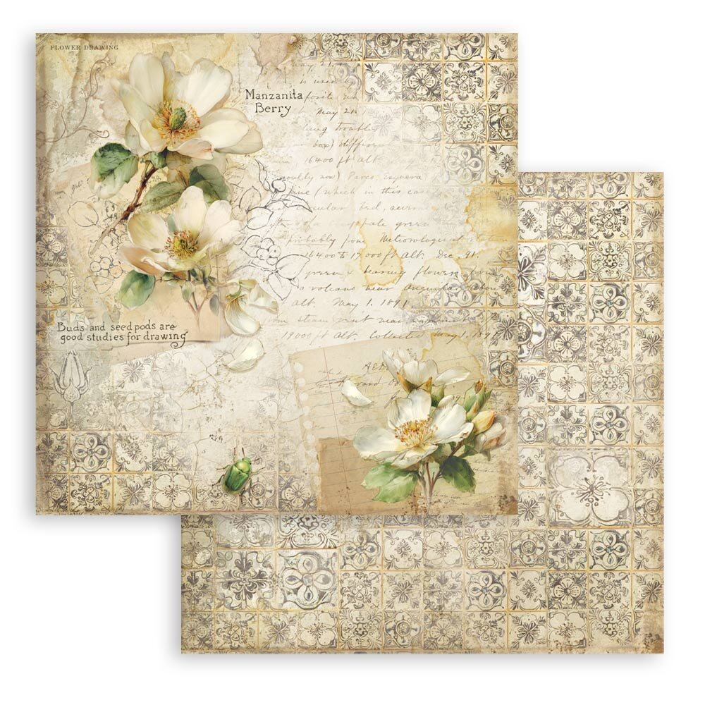 Stamperia All Around 8x8 Inch Paper Pack (SBBS143) Stamperia All Around 8x8 Inch Paper Pack (SBBS143)
