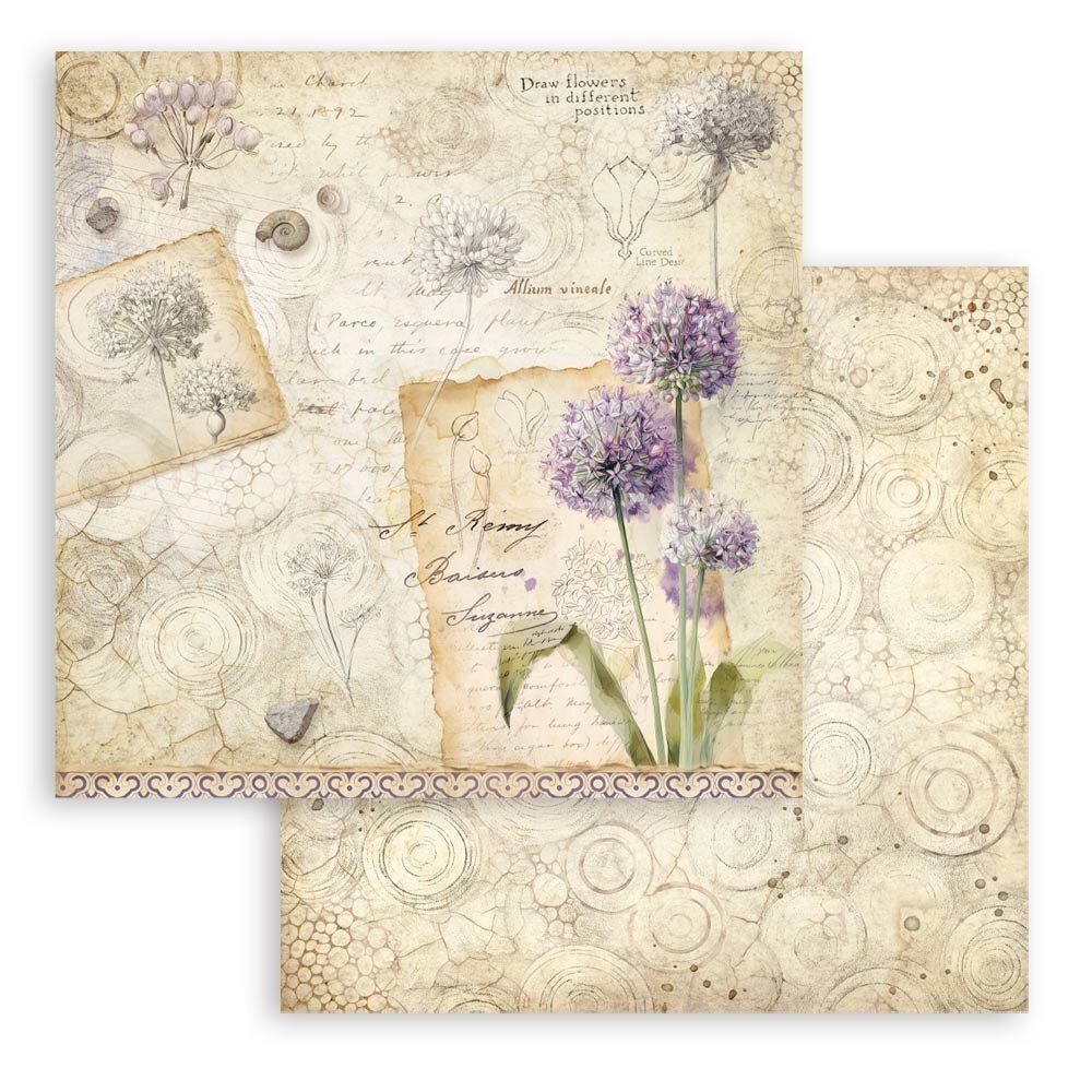 Stamperia All Around 8x8 Inch Paper Pack (SBBS143) Stamperia All Around 8x8 Inch Paper Pack (SBBS143)