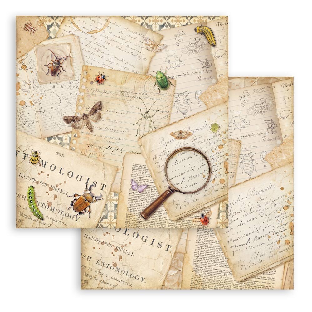 Stamperia All Around 8x8 Inch Paper Pack (SBBS143) Stamperia All Around 8x8 Inch Paper Pack (SBBS143)