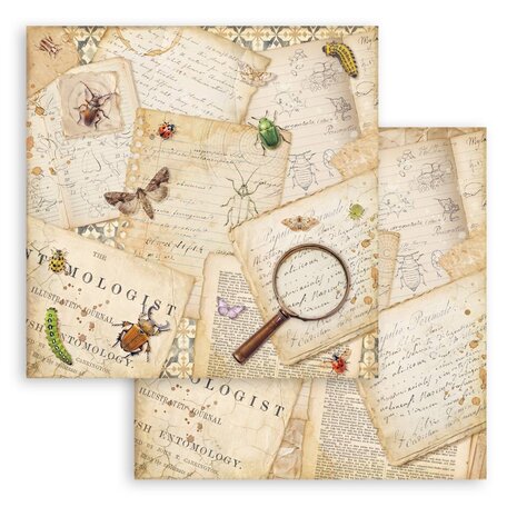 Stamperia All Around 8x8 Inch Paper Pack (SBBS143) Stamperia All Around 8x8 Inch Paper Pack (SBBS143)