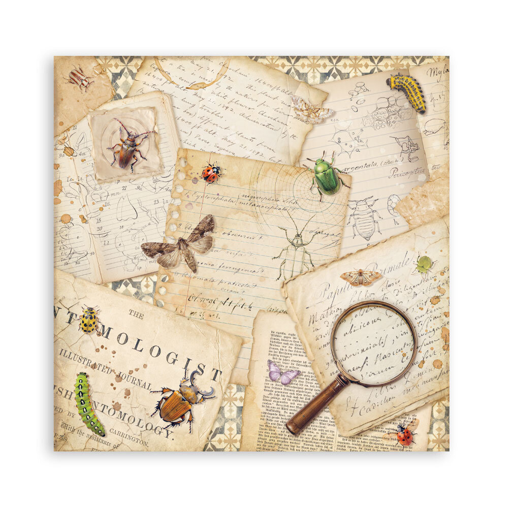Stamperia All Around 12x12 Inch Single Face Paper Pack (SBBXLB37)