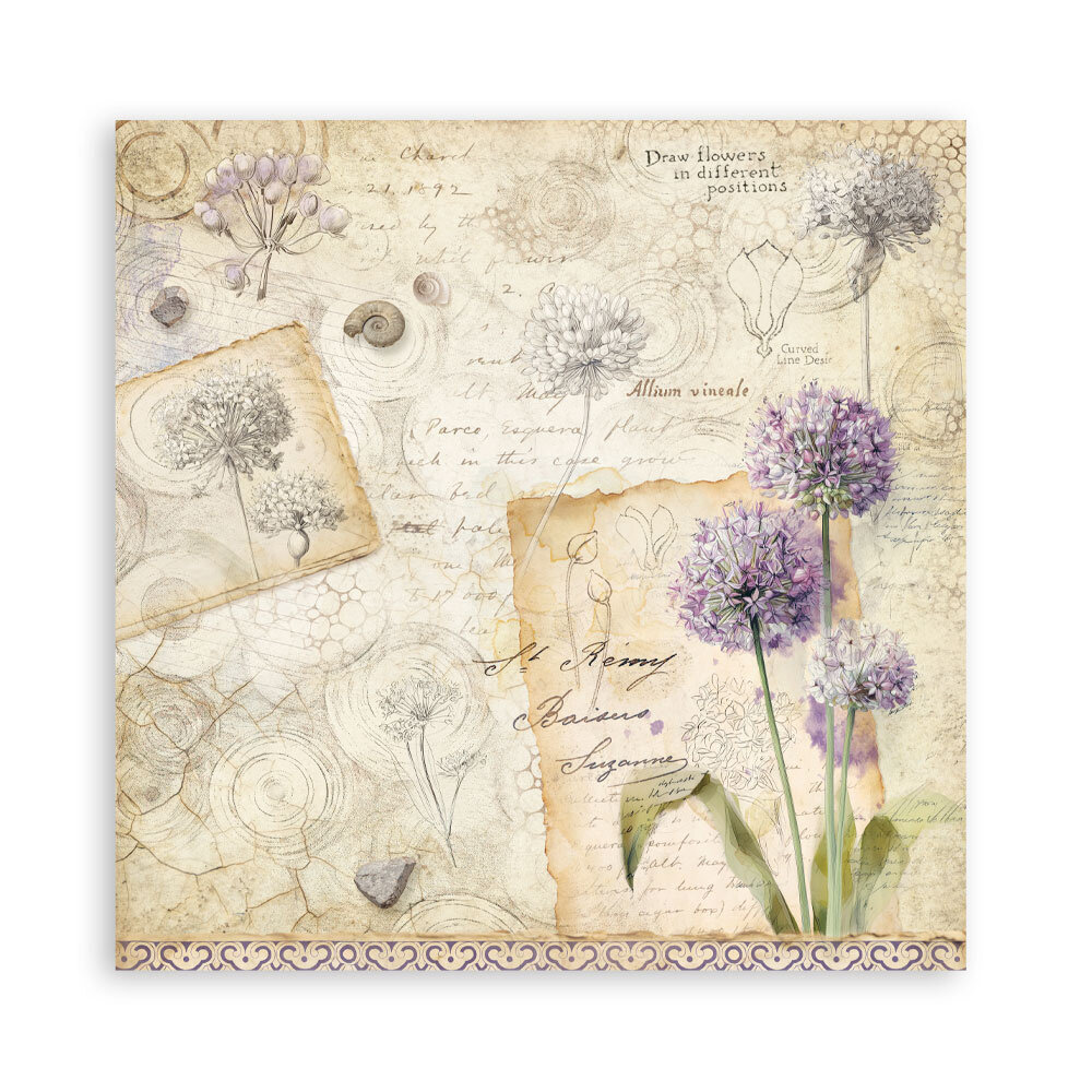 Stamperia All Around 8x8 Inch Single Face Paper Pack (SBBSXB25)
