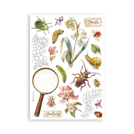 Stamperia All Around A5 Washi Pad (SBW33) Stamperia All Around A5 Washi Pad (SBW33)
