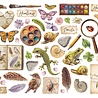 Stamperia All Around Die Cuts (DFLDC133) Stamperia All Around Die Cuts (DFLDC133)