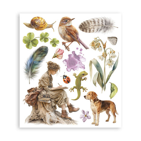 Stamperia All Around 8x8 Inch Rub-On Assortment (DFLRBXG07)