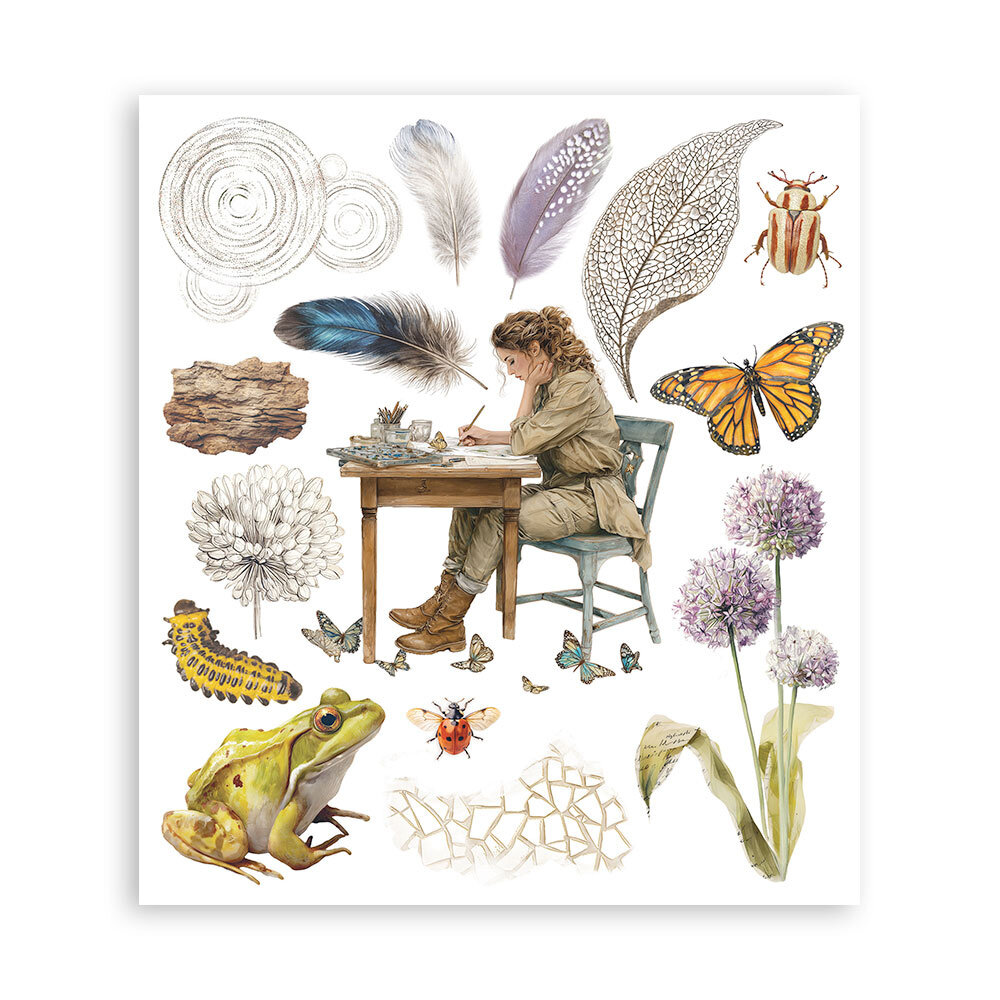 Stamperia All Around 8x8 Inch Rub-On Assortment (DFLRBXG07)