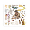 Stamperia All Around 6x6 Inch Rub-On Assortment (DFLRBX14)