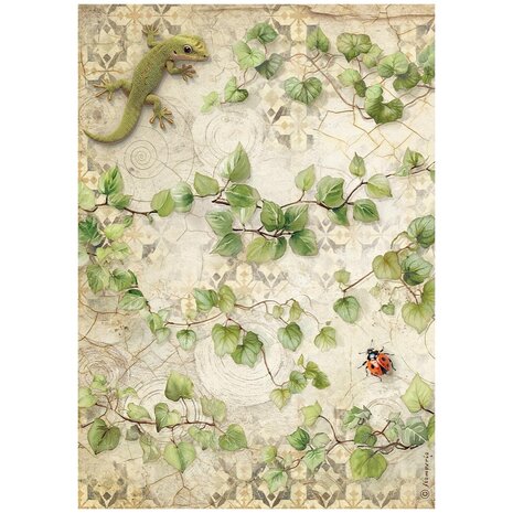 Stamperia All Around A4 Rice Paper Selection (DFSA4XAR) Stamperia All Around A4 Rice Paper Selection (DFSA4XAR)