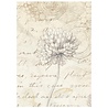 Stamperia All Around A6 Rice Paper Backgrounds Selection (DFSAK6054)