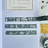 Lettoon Dusty Green Washi Tape 15mm
