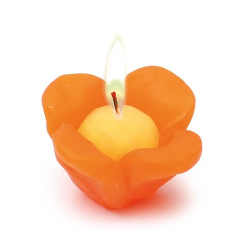 Graine Creative DIY Modeling Candle Kit Unicorn (138207)