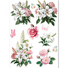 Ciao Bella Papercrafting PRE-ORDER Courtly Love A5 Mixed Rice Papers (CBRS042) Ciao Bella Papercrafting PRE-ORDER Courtly Love A5 Mixed Rice Papers (CBRS042)