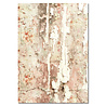 Ciao Bella Papercrafting PRE-ORDER Lost in Time A4 Mixed Rice Papers (MF007) Ciao Bella Papercrafting PRE-ORDER Lost in Time A4 Mixed Rice Papers (MF007)