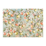 Prima Marketing Inc PRE-ORDER Homegrown A3 Decoupage Paper (683573)
