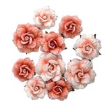 Prima Marketing Inc PRE-ORDER Homegrown Flowers Blush Harvest (683641)