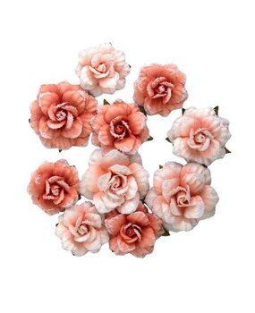 Prima Marketing Inc PRE-ORDER Homegrown Flowers Blush Harvest (683641)