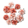 Prima Marketing Inc PRE-ORDER Homegrown Flowers Blush Harvest (683641)