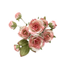 Prima Marketing Inc PRE-ORDER Homegrown Flowers Garden Rose Blush (683672)