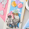 Sizzix PRE-ORDER Thinlits Die Set Mini Colorize Clarence (667216) Sizzix PRE-ORDER Thinlits Die Set Mini Colorize Clarence (667216)
