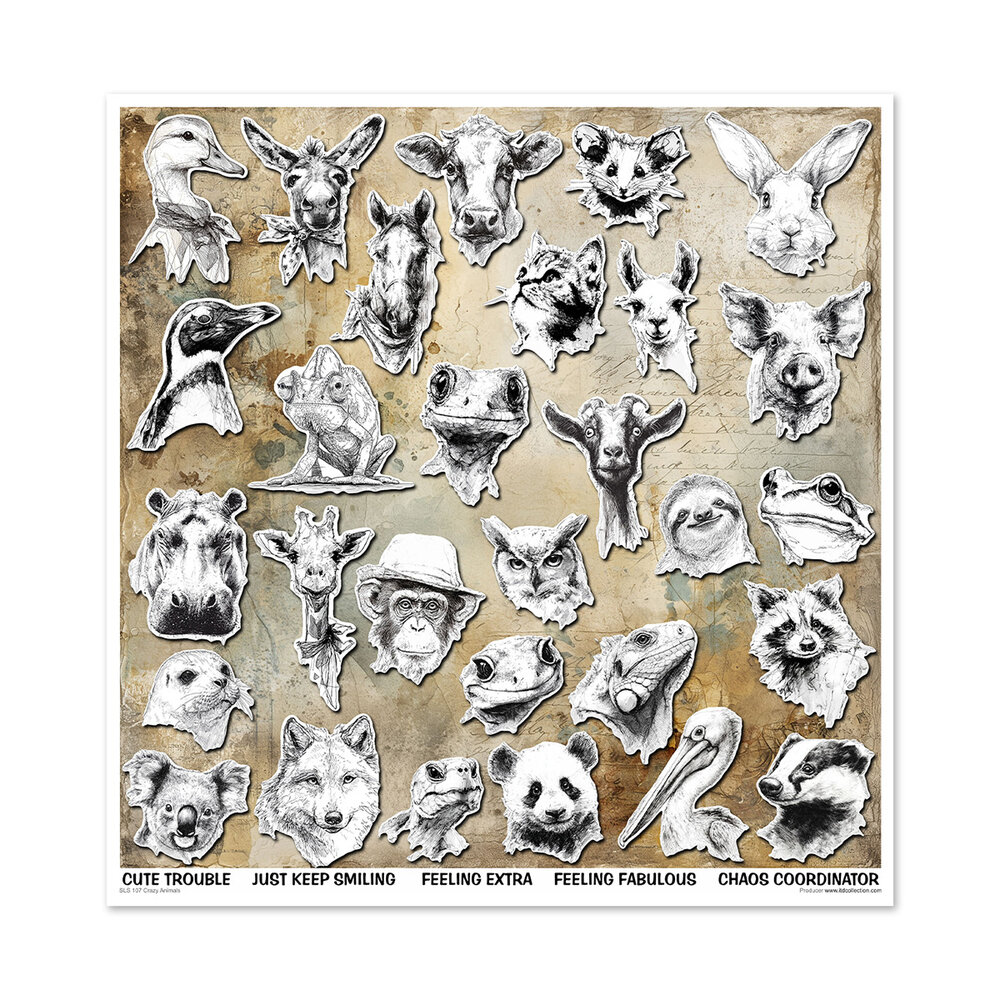 ITD Collection Crazy Animals 12x12 Inch Paper Pad (SLS 107)