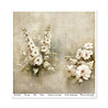 ITD Collection Written in Flowers vol.1 12x12 Inch Paper Pad (SLS 108)