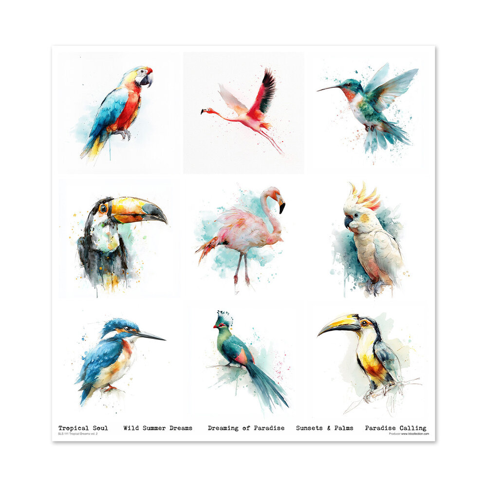 ITD Collection Tropical Dreams vol.2 12x12 Inch Paper Pad (SLS 111)