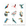 ITD Collection Tropical Dreams vol.2 12x12 Inch Paper Pad (SLS 111)