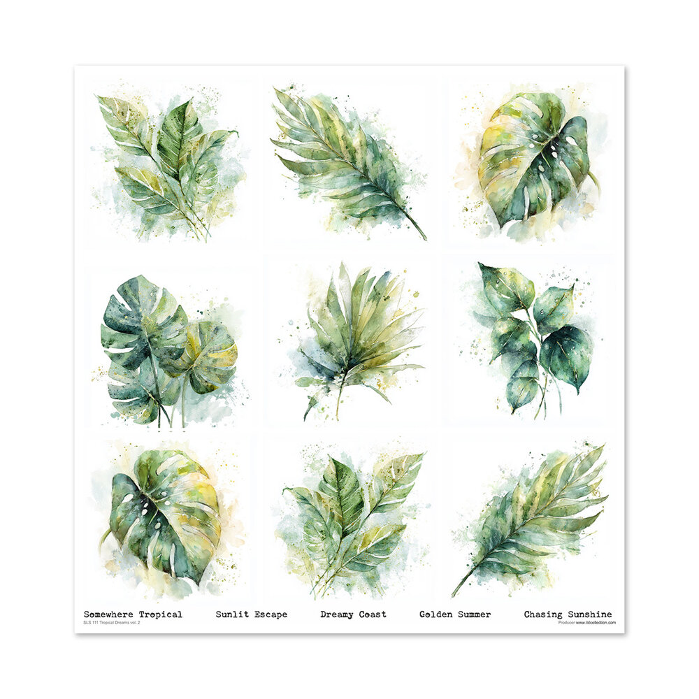 ITD Collection Tropical Dreams vol.2 12x12 Inch Paper Pad (SLS 111)