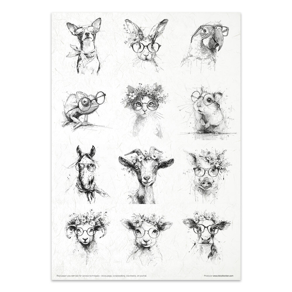 ITD Collection Crazy Animals A4 Rice Paper Set (RP 102)