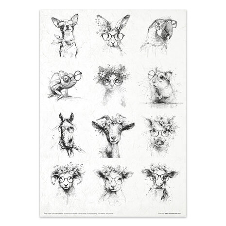 ITD Collection Crazy Animals A4 Rice Paper Set (RP 102)