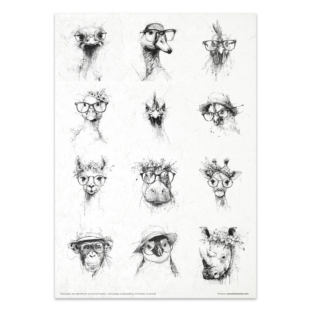 ITD Collection Crazy Animals A4 Rice Paper Set (RP 102)