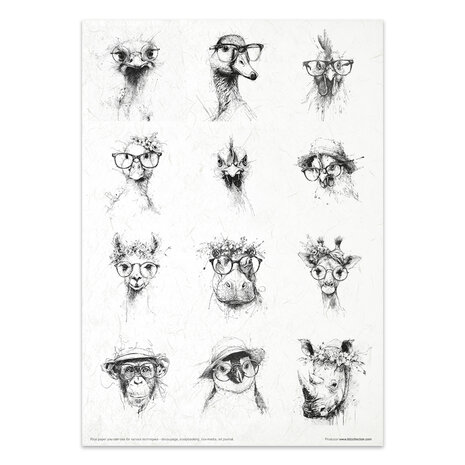 ITD Collection Crazy Animals A4 Rice Paper Set (RP 102)