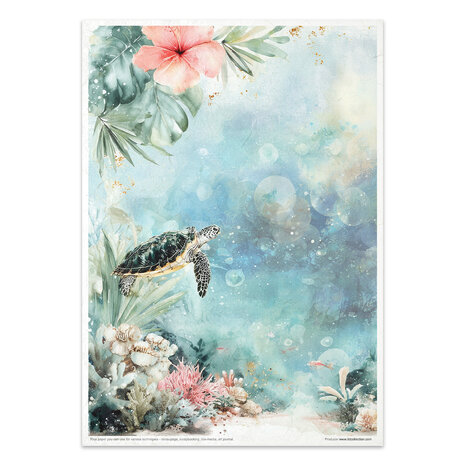 ITD Collection Tropical Dreams vol.2 A4 Rice Paper Set (RP 106)