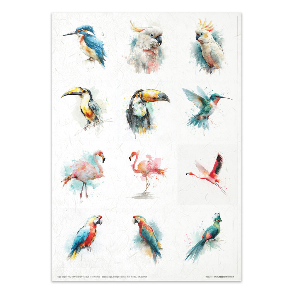 ITD Collection Tropical Dreams vol.2 A4 Rice Paper Set (RP 106)