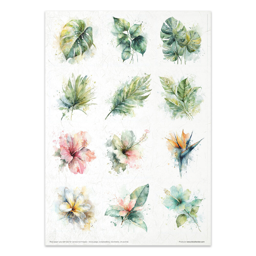 ITD Collection Tropical Dreams vol.2 A4 Rice Paper Set (RP 106)
