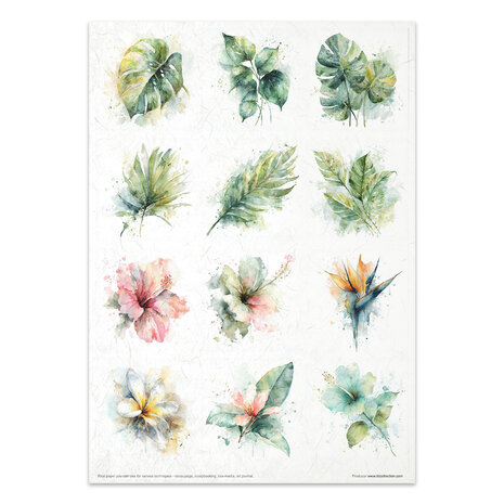 ITD Collection Tropical Dreams vol.2 A4 Rice Paper Set (RP 106)